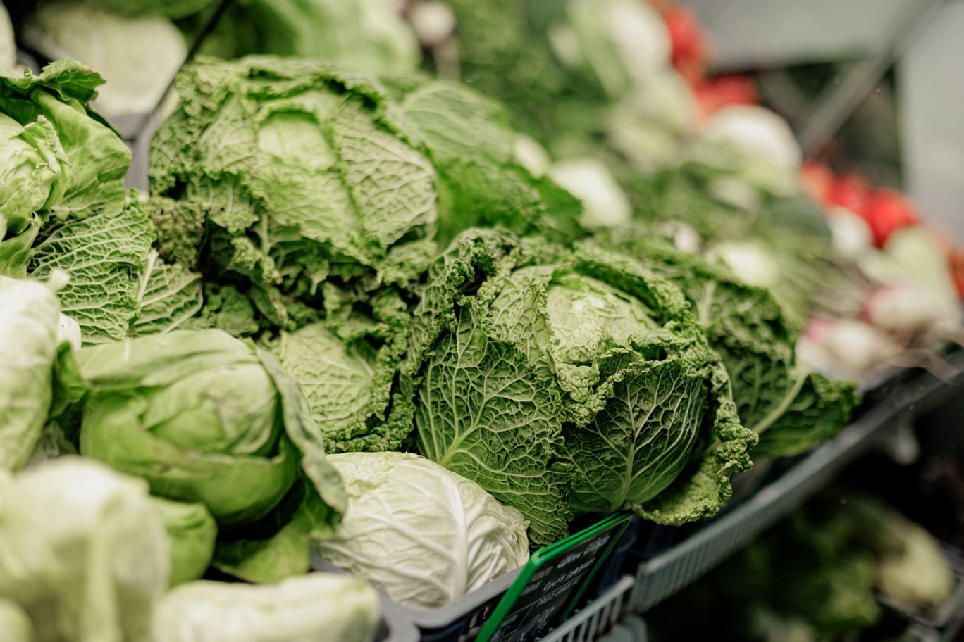 Produtos biológicos Biobrassica